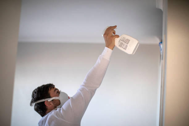 Best Certified Mold Removal  in Lynchburg, TN