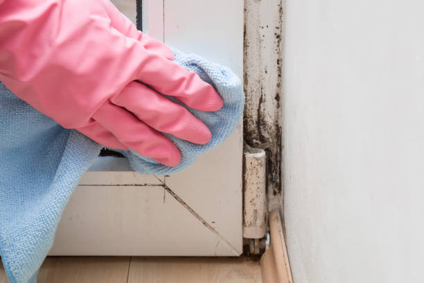Best Mold Testing  in Lynchburg, TN